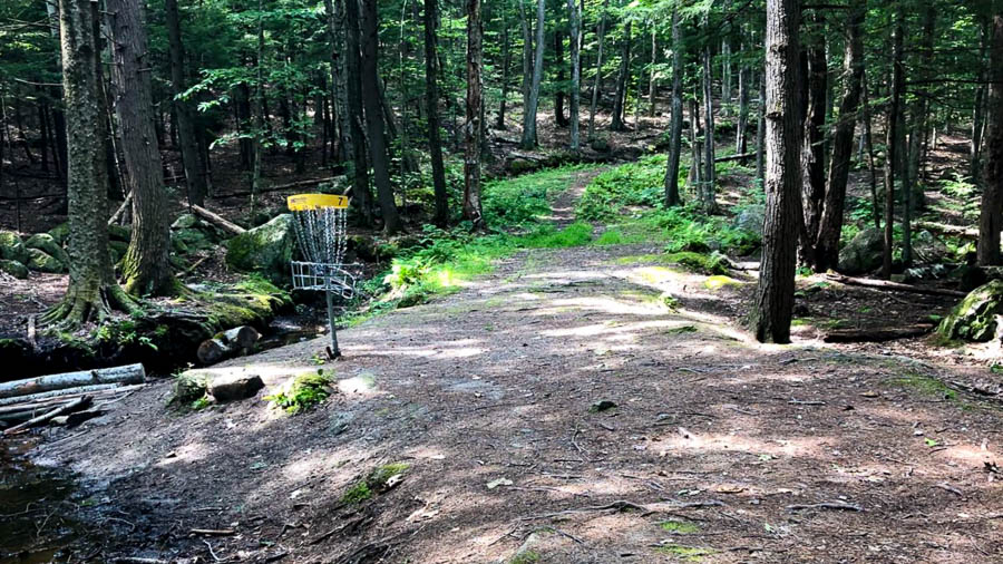 A photo of hole seven at the New England College Disc Golf Course